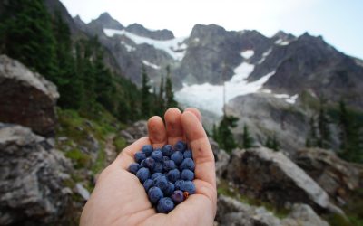 The Traditional Chinese Medicine (TCM) Diet: Better Than Any Fad