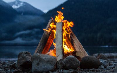 Menopause Treatment with Traditional Chinese Medicine (TCM)
